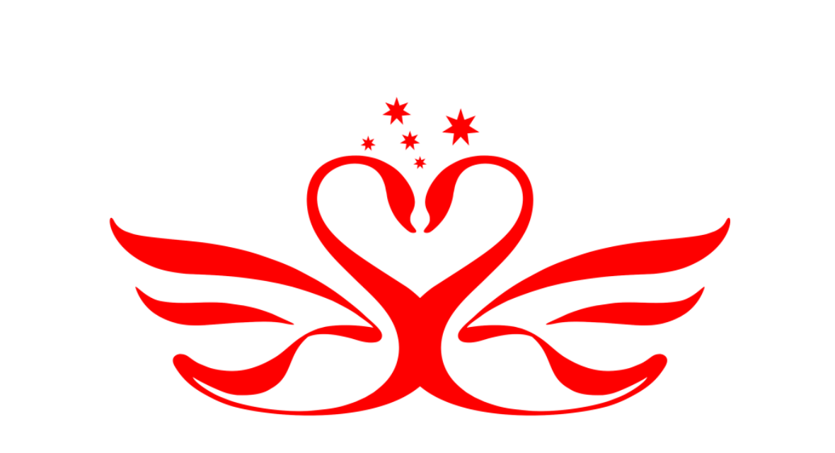 深圳市南吉星国际贸易有限公司